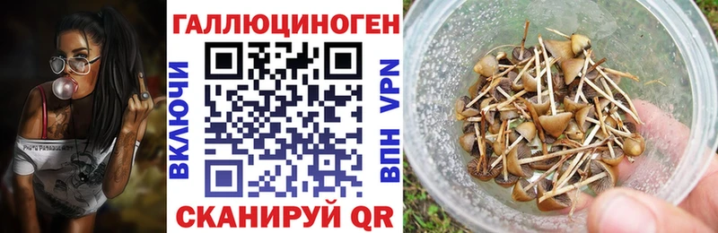 Псилоцибиновые грибы Magic Shrooms  Куйбышев 